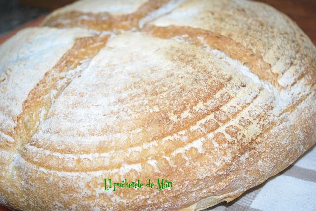 HOGAZA DE PAN BLANCO