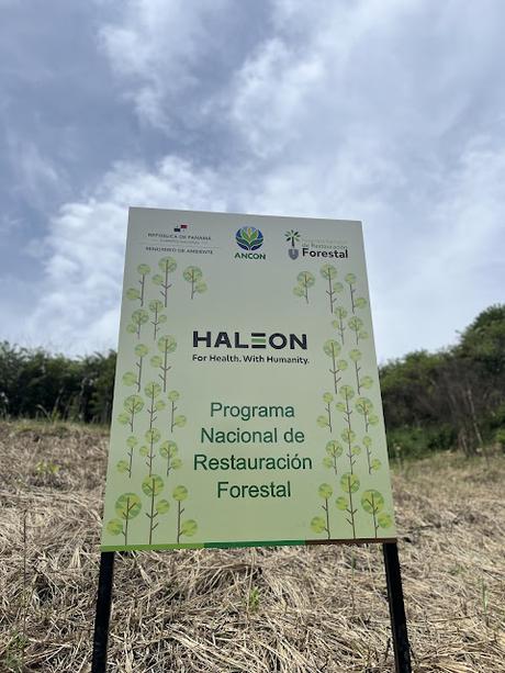 Parque Nacional Camino de Cruces respira con nuevos bríos