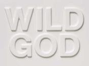 Nick Cave Seeds Wild (2024)