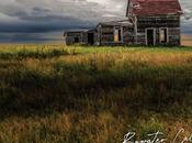 Bywater Call never (2024)