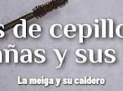 Tipos Cepillos Pestañas Usos