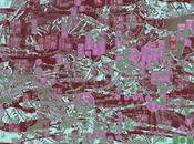 Nomade Orquestra (2014)