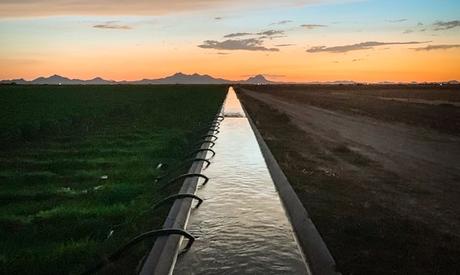 Aprovecha el Agua de Lluvia: Los Mejores Depósitos para tu Jardín 9 Aprovecha el Agua de Lluvia: Los Mejores Depósitos para tu Jardín 9