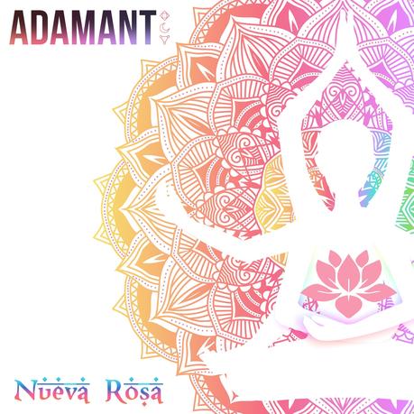 Adamant - Nueva rosa 5