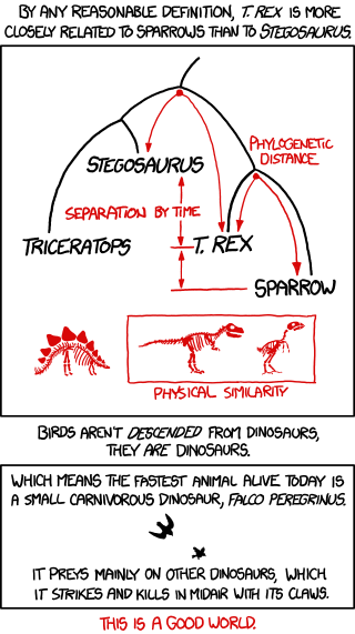 Birds and dinosaurs (XKCD)