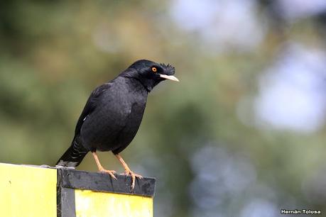 RECS y amigos (agosto 2024)