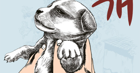 Los perros de tu vida