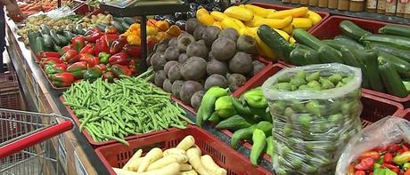 campesinos del cesar