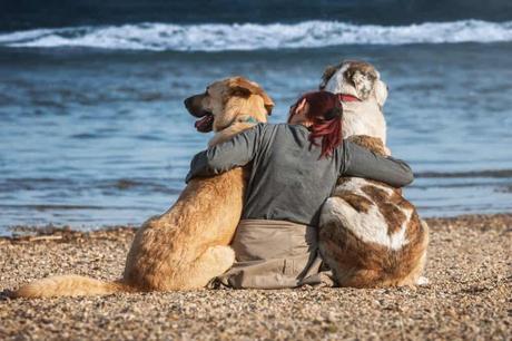 Mejores Playas de Perros en España