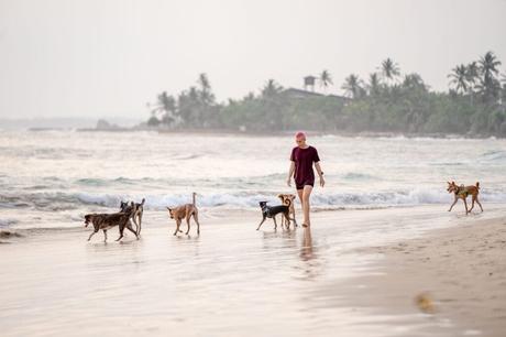 Mejores Playas de Perros en España