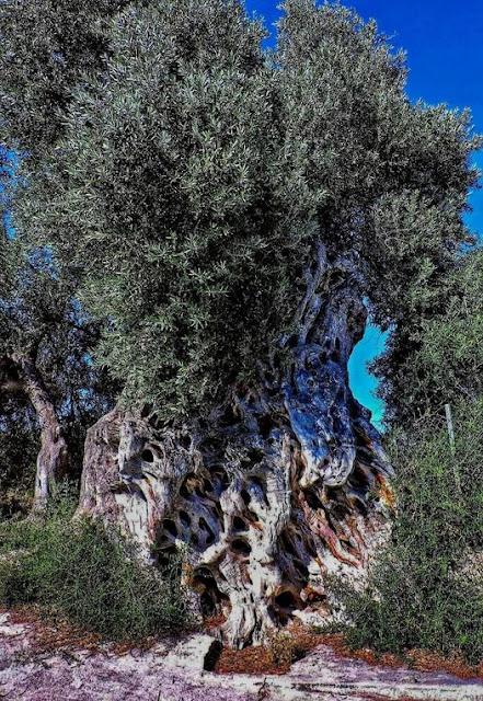 El turismo, ¿construye o destruye? … Y la DANA se ceba en Baleares.