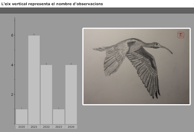Plegadis falcinellus acosado por los perros Plegadis falcinellus acosado por los perros