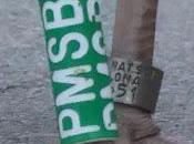 Patiamarilla joven PMSB