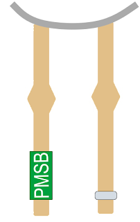 Patiamarilla joven PMSB