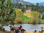 mejores hoteles PARQUE NACIONAL MONTAÑAS ROCOSAS (dónde alojarse Estes Park Grand Lake)