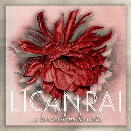 2811d703-773d-490e-2975-9f12b403ffcd