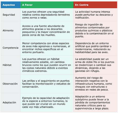 Gaviotas de Audouin y Puertos: Beneficios y Desafíos