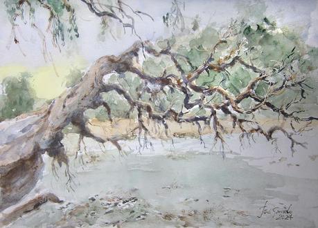 Pintando de nuevo Pintando de nuevo