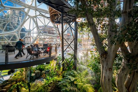 Amazon Seattle Spheres, Estados Unidos / NBBJ Architects Amazon Seattle Spheres, Estados Unidos / NBBJ Architects