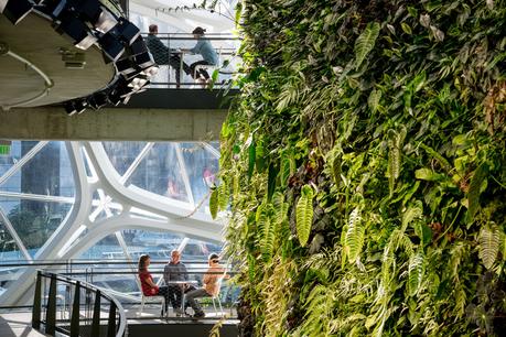 Amazon Seattle Spheres, Estados Unidos / NBBJ Architects Amazon Seattle Spheres, Estados Unidos / NBBJ Architects