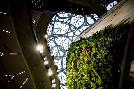Amazon Seattle Spheres, Estados Unidos / NBBJ Architects Amazon Seattle Spheres, Estados Unidos / NBBJ Architects
