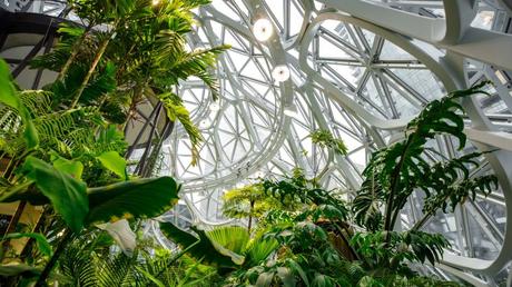 Amazon Seattle Spheres, Estados Unidos / NBBJ Architects Amazon Seattle Spheres, Estados Unidos / NBBJ Architects