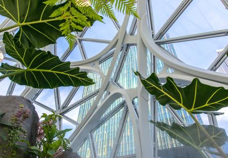 Amazon Seattle Spheres, Estados Unidos / NBBJ Architects Amazon Seattle Spheres, Estados Unidos / NBBJ Architects
