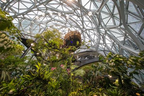 Amazon Seattle Spheres, Estados Unidos / NBBJ Architects