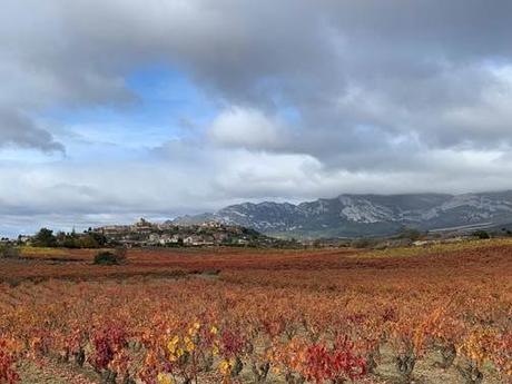 LA VENDIMIA, LA ÉPOCA MÁGICA PARA VISITAR UNA BODEGA LA VENDIMIA, LA ÉPOCA MÁGICA PARA VISITAR UNA BODEGA