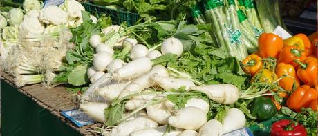 Artritis y microbiota intestinal Artritis y microbiota intestinal