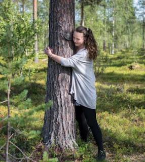 Campeonato mundial de abrazo de árboles.