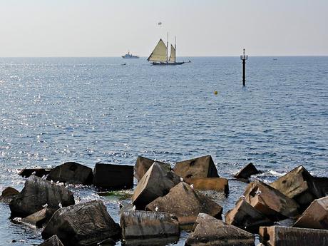 Charranes patinegro en la escollera del Port Olímpic
