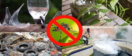 Mosquitos causan cientos de miles de muertos mosquitos