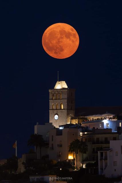 Mohamed VI, 25 años de represión y abusos de poder… Y el mensaje de Xavier García Albiol, alcalde de Badalona