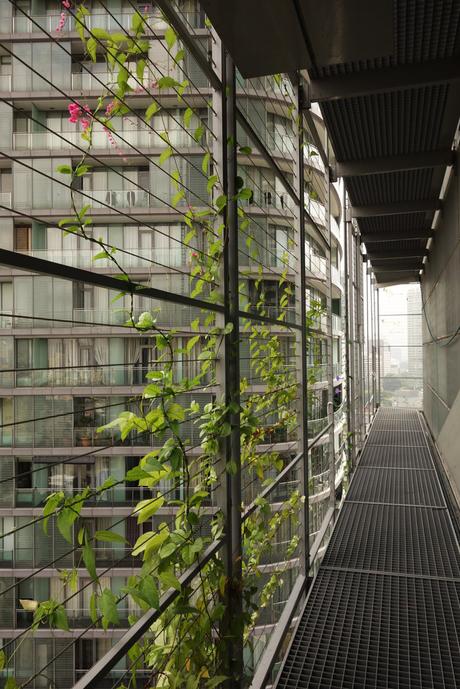 Frente a las Petronas, Le Nouvel aporta el verde contemporáneo en Kuala Lumpur