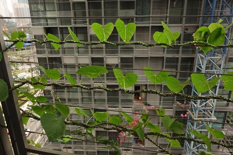 Frente a las Petronas, Le Nouvel aporta el verde contemporáneo en Kuala Lumpur