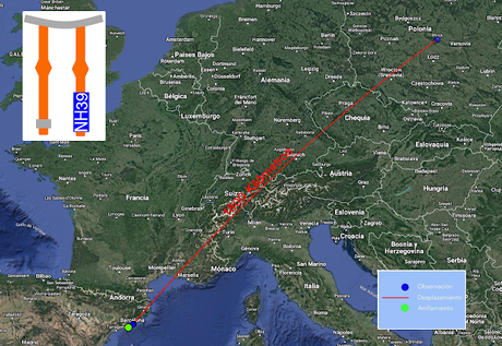 Gaviotas reidoras NH10, NH39, y NE28,