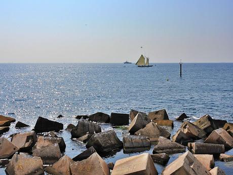 Gaviotas reidoras NH10, NH39, y NE28,