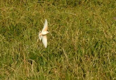 SALIDA POR SUESA (19/08/24)