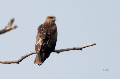 SALIDA POR SUESA (19/08/24)