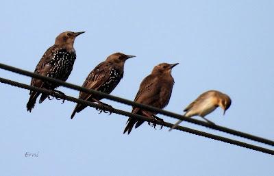 SALIDA POR SUESA (19/08/24)