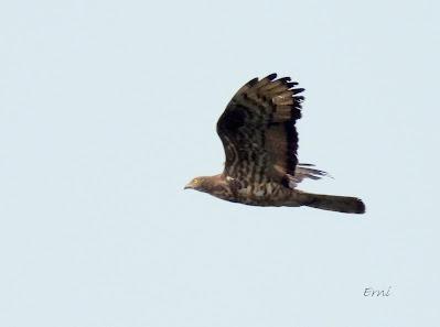 SALIDA POR SUESA (19/08/24)