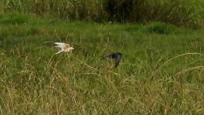 SALIDA POR SUESA (19/08/24)