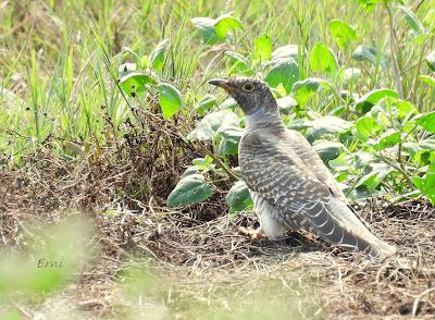 SALIDA POR SUESA (19/08/24)