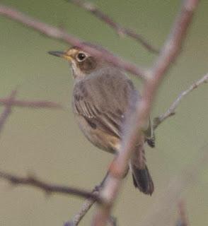 SALIDA POR SUESA (19/08/24)