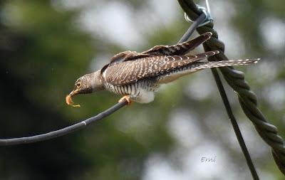 SALIDA POR SUESA (19/08/24)