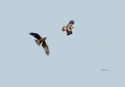 SALIDA POR SUESA (19/08/24)