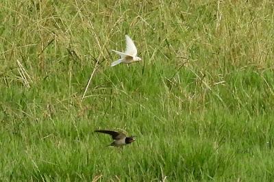 SALIDA POR SUESA (19/08/24)