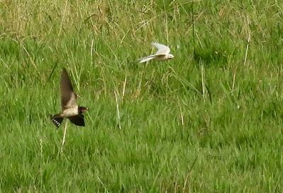 SALIDA POR SUESA (19/08/24)