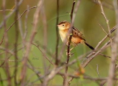 SALIDA POR SUESA (19/08/24)